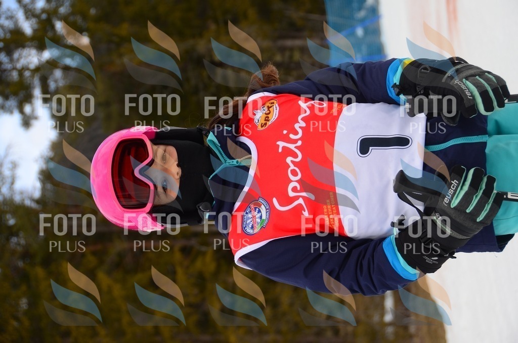 C1301 | holidayphoto