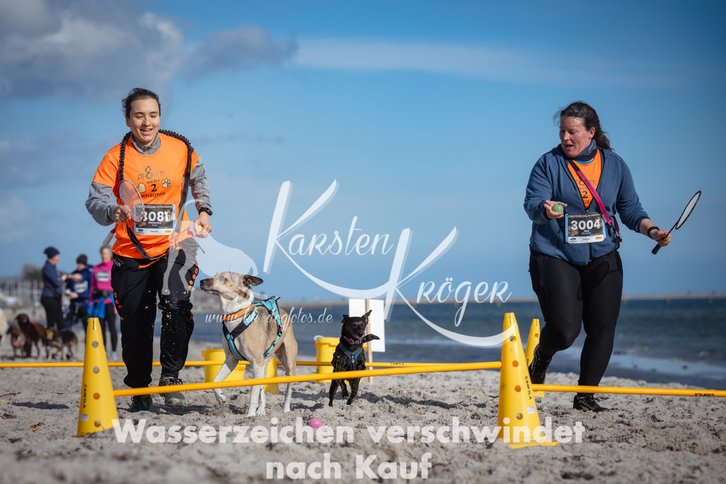 1340_ZZ92656 | kk-dogfotos