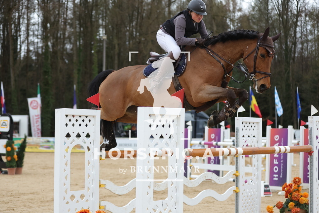 0P6A4484 | Willkommen bei Brunnmayr - Design & Fotografie – Ihrem Spezialisten für Reitturniere und Pferdeveranstaltungen in Oberösterreich, Salzburg und Bayern! Seit über 17 Jahren sind wir leidenschaftlich dabei.