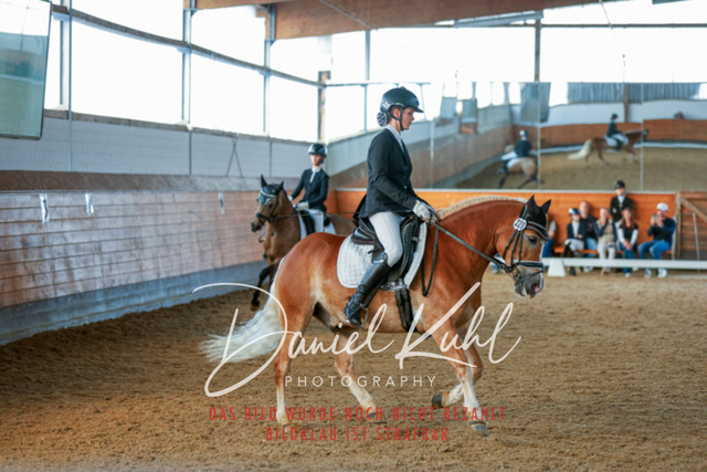 _62_7894 | Turniersportfotografie; Pferdefotografie; Dressurfotografie