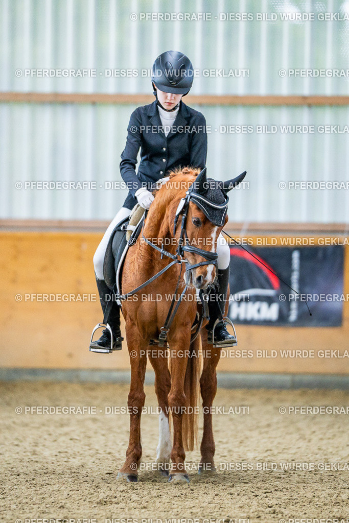 DSC03801 | Pferdegrafie