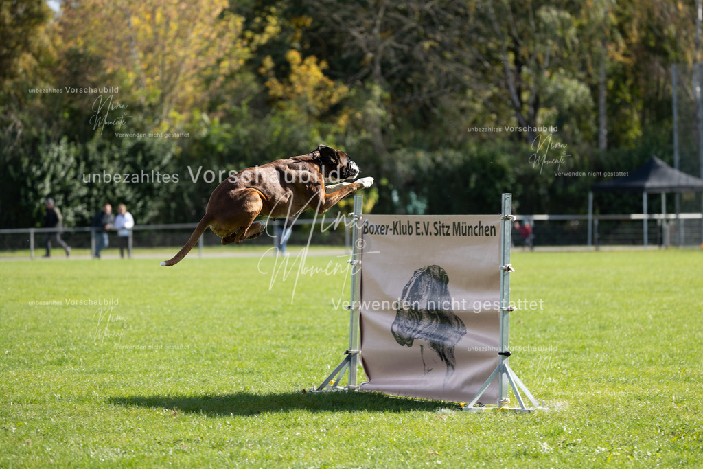 _16A6934 | Einzigartige Fotos von Hunden & Menschen –Actionfotos, Portraits, Vereinsaufnahmen & Paarshootings – authentisch, lebendig & mit Herz.
