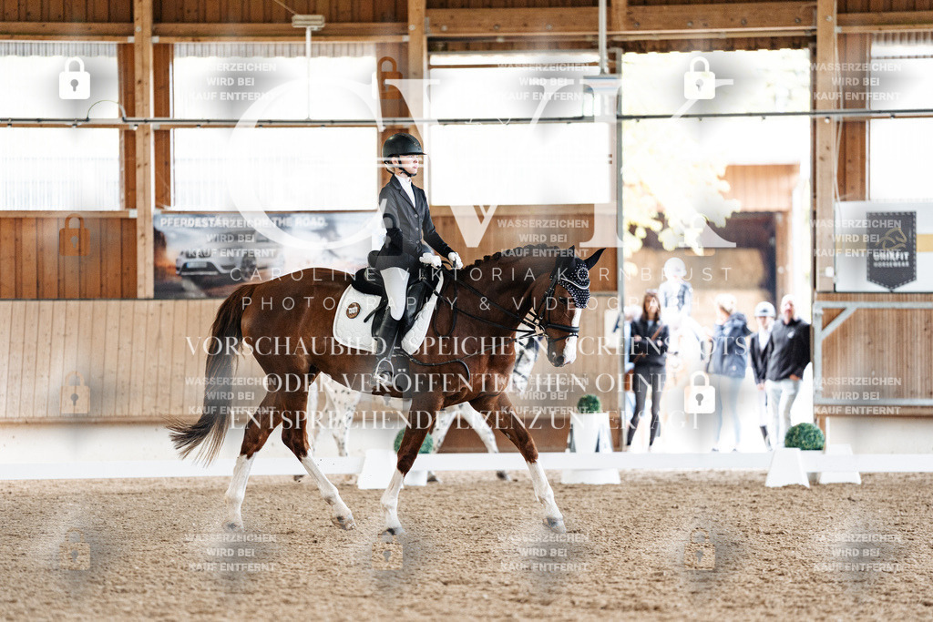 CK909829 | Turnierfotografie Pferdefotografie Trier Rheinland-Pfalz Pferdesport Reitsport Tierfotografie Sportfotografie Pferdevideo Pferdevideografie Equestrianvideography equestrianphotography  - Realized with Pictrs.com