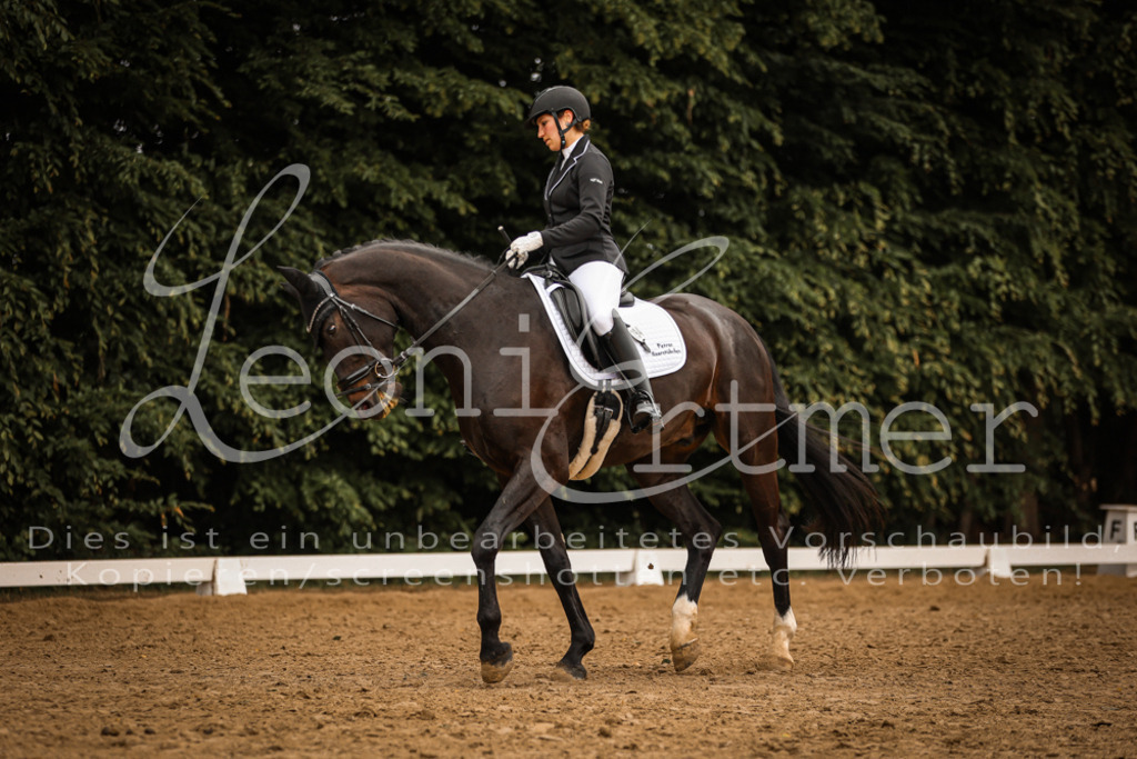 DoDrA200025 | Leoni Ertmer Photography - Realisiert mit Pictrs.com