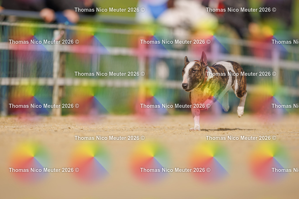 Thomas_Nico_Meuter(C)_03. Oktober 2026_223A1909 | Bild von Thomas Nico Meuter - Realisiert mit Pictrs.com