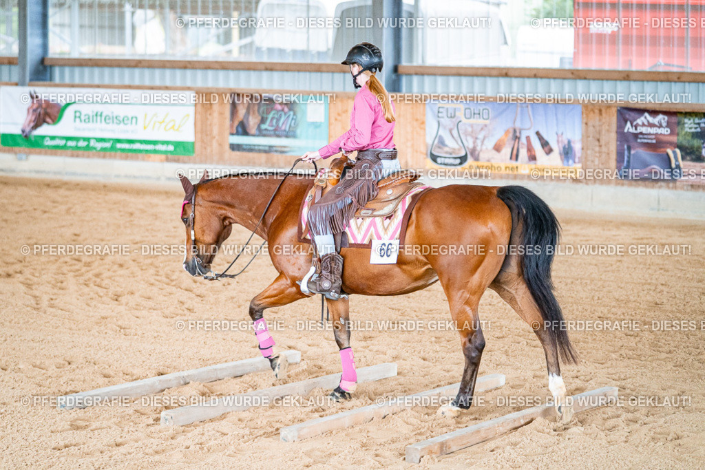 DSC09604 | Pferdegrafie