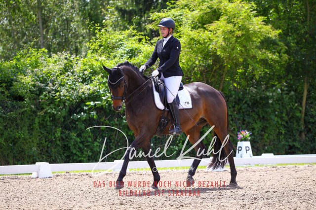 DKP41004 | Turnierfotos kaufen im Webshop von Daniel Kuhl Photography – entdecke professionelle Reitsportfotos aus Turnieren & Events. Hochwertige Turnierbilder online bestellen & sichern. Jetzt Fotos von Reitsportturnieren kaufen!