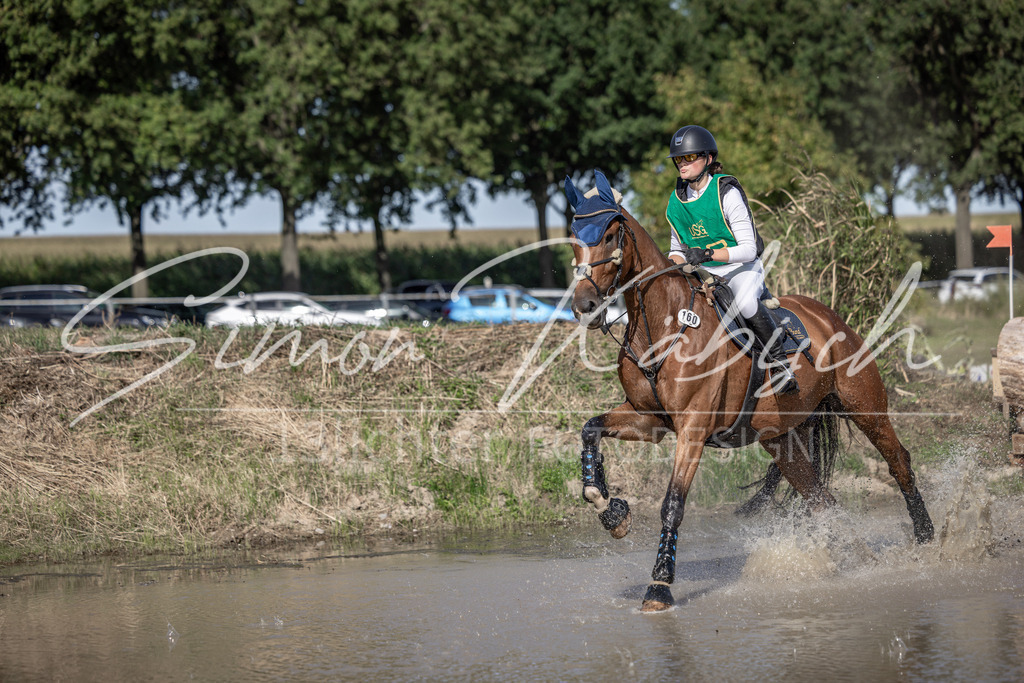 20250907-_3LI2945 | Tierfotografie Pferde, Hunde, Katzen, Haustiere.
Turnierfotografie Reitturniere, Reiten, Springreiten, Dressur in Hanau, dem Main-Kinzig-Kreis und dem Rhein-Main- Gebiet um Frankfurt