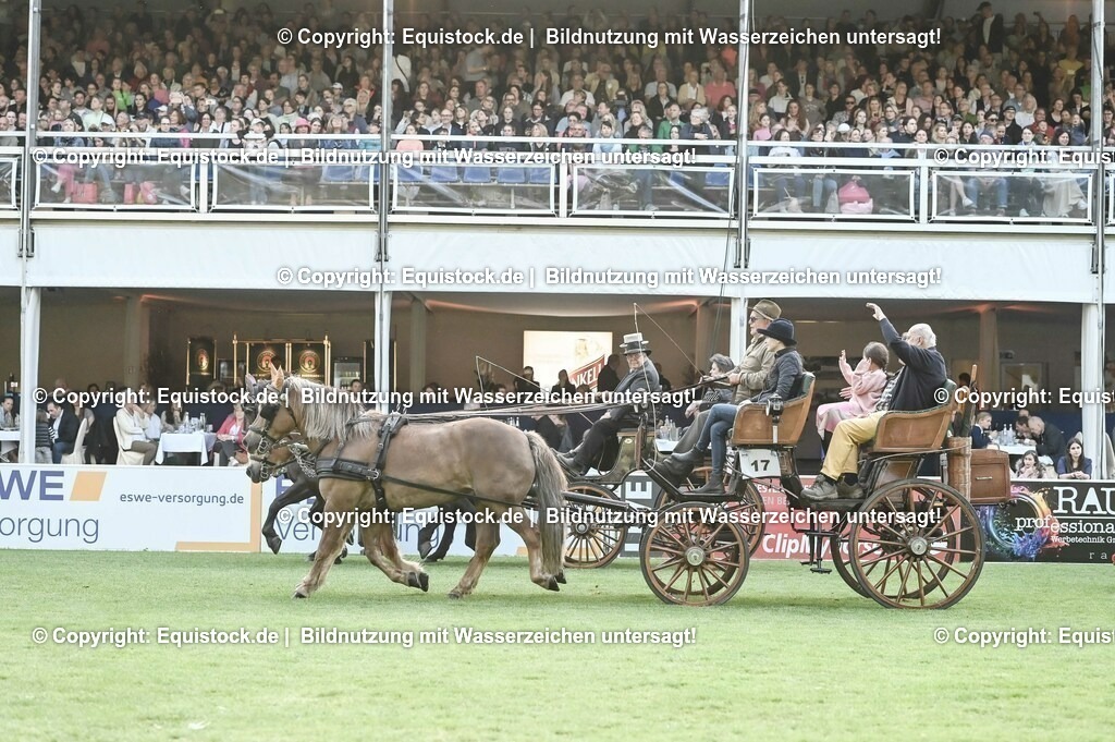 20230526_Pferdenacht_0193 | equistock