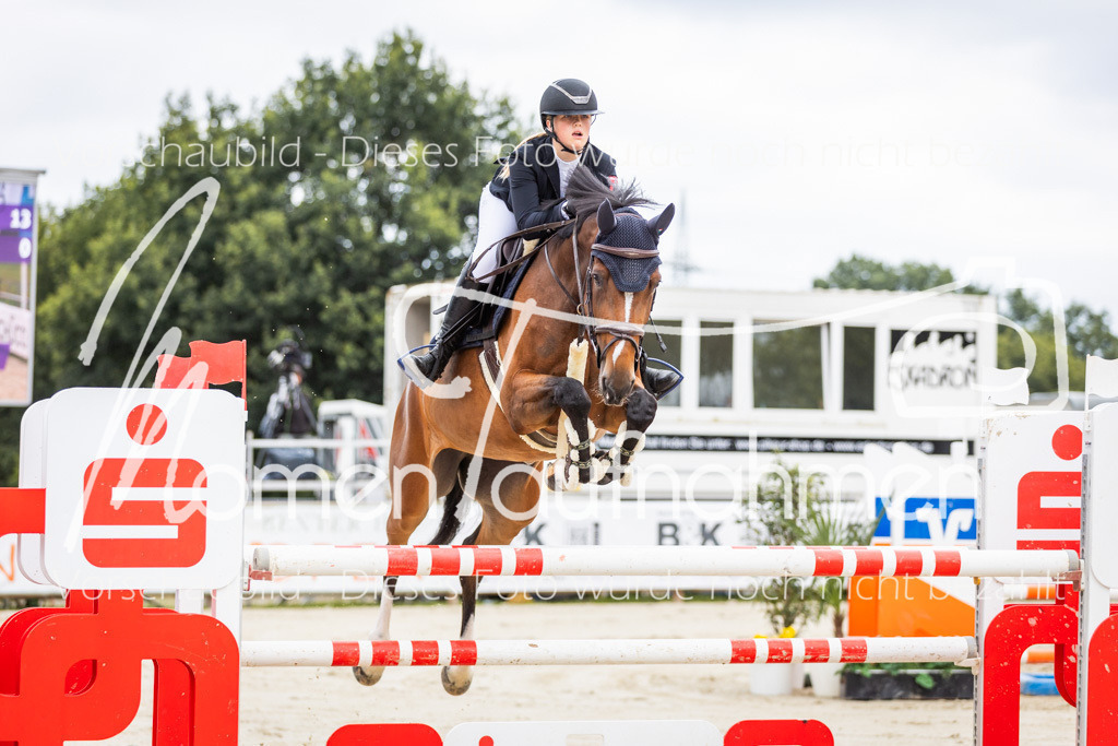 BHO-2PhSpr-M-5-2221 | MomenTaufnahmen Pferdesportfotos