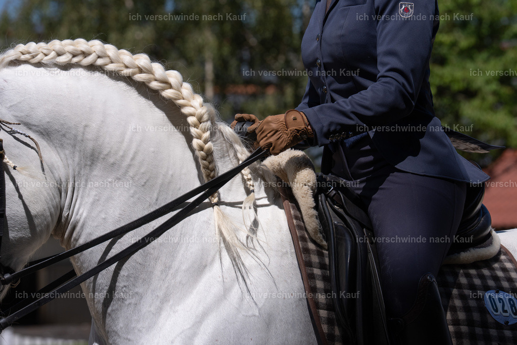 WS_DR_28_sinafilmart_IN08350 | working equitationturnier fotograf videograf stoibphotography marixx film working equitation deutschland reitsport turnierfotografie eventfotografie equestrian events