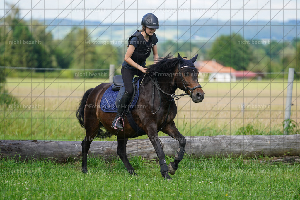 20240622-FAH07923 | Turnierfotografen Bayern, Reitsportbilder aus dem Geländekurs mit Felix Etzel auf dem Gut Waitzacker 2024