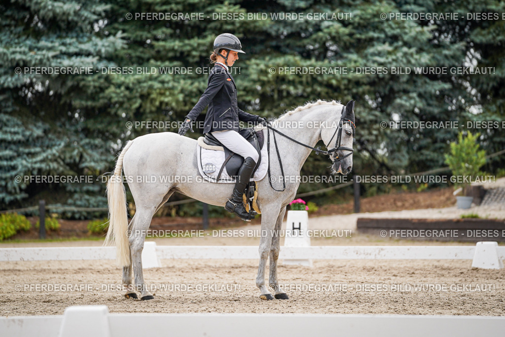 DSC02175 | Pferdegrafie