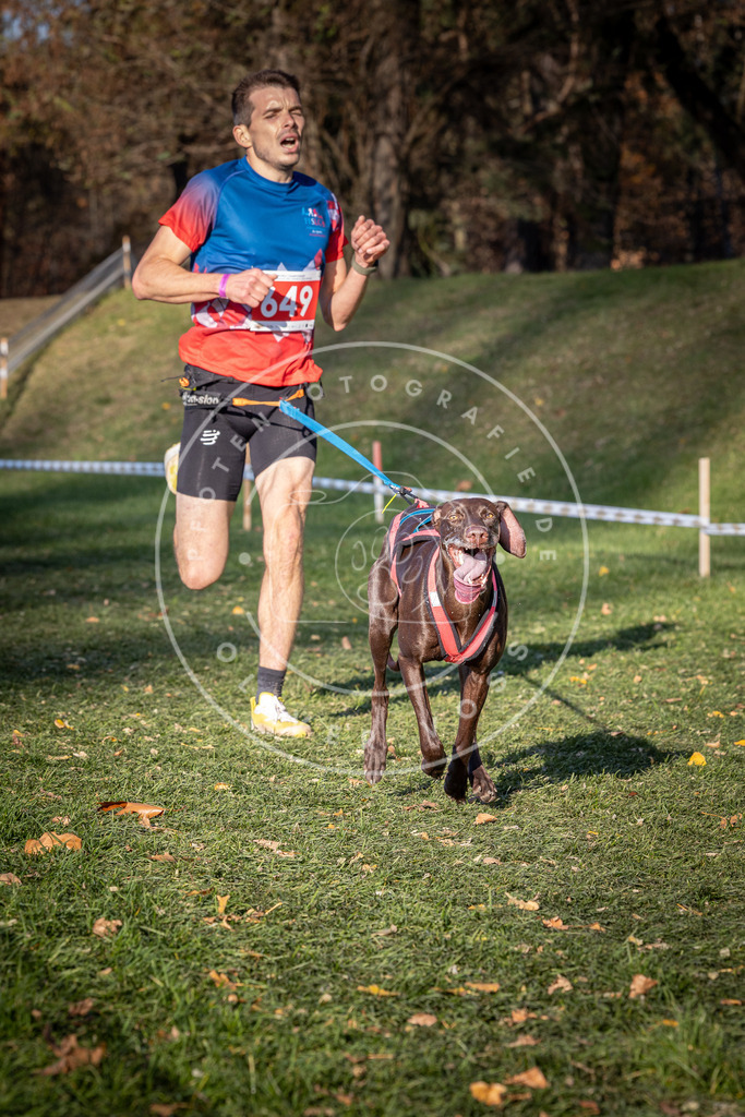 CaniXpix_0L8A9100 | Hundefotografie, Tierfotograf, Pfotenfotografie, Fotoshooting Hund, Hunde Portrait, Hundesport, Hundeportraits, Heideshooting, Hunde, Sportfotograf, Hundefotograf, Turnierhundsport, THS,  - Realisiert mit Pictrs.com