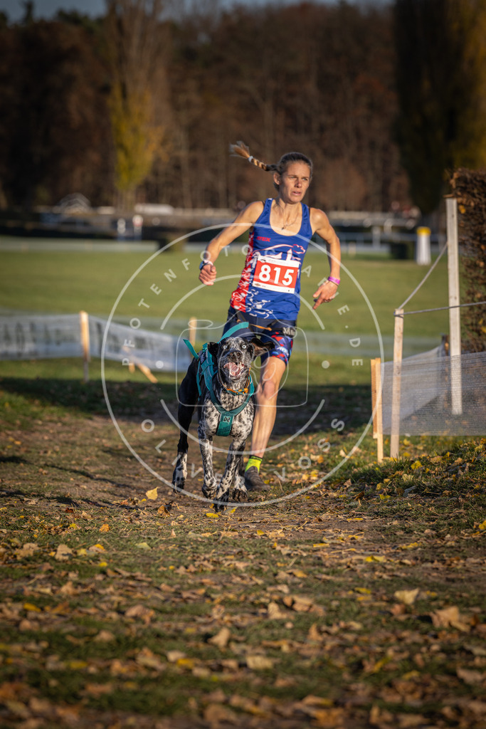 CaniXpix_DV3A3128 | Hundefotografie, Tierfotograf, Pfotenfotografie, Fotoshooting Hund, Hunde Portrait, Hundesport, Hundeportraits, Heideshooting, Hunde, Sportfotograf, Hundefotograf, Turnierhundsport, THS,  - Realisiert mit Pictrs.com