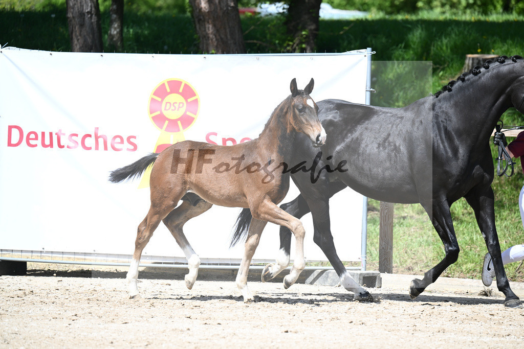 Escaneno x Negro_HF_Eder_11240513 | hf-fotografie - Realisiert mit Pictrs.com