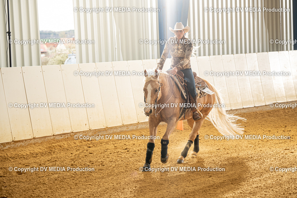 MIT00469 | dv-media-shop - Realisiert mit Pictrs.com