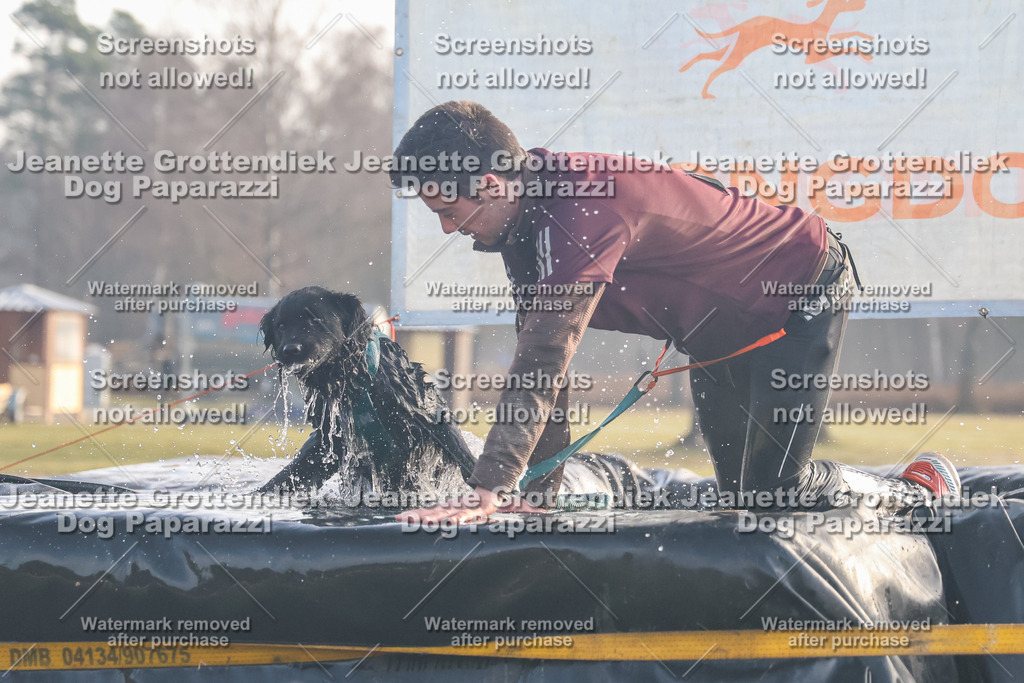 Dog Paparazzi - SD North Sa 830-900-202 | Dog Paparazzi Jeanette Grottendiek Fotografie & Videografie - Realisiert mit Pictrs.com