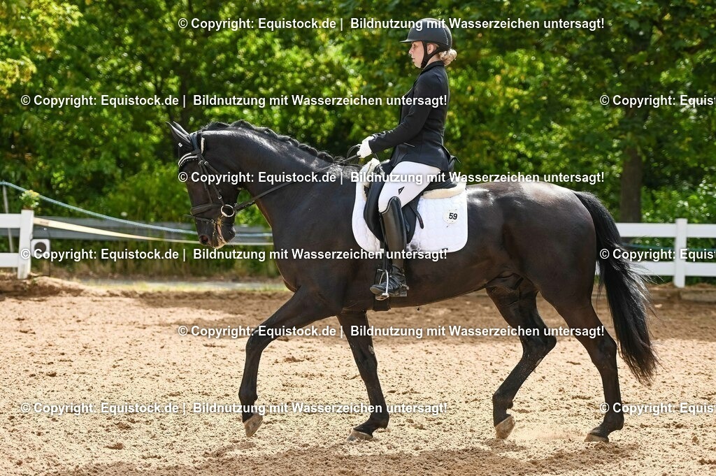 20230715_07_Dressurpferdeprfg. Kl.L_0139 | equistock