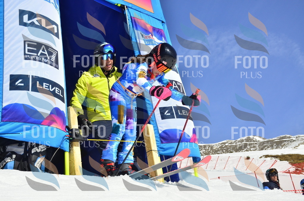 _ELE0385 | holidayphoto