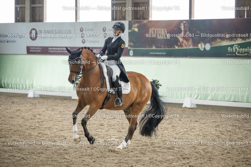 _D5A5945 | Emotionale Pferde- & People-Fotografie rund um Heidelberg, Leimen & Umgebung. Natürliche Fotos von Pferd, Mensch & Familie. Jetzt Termin sichern!