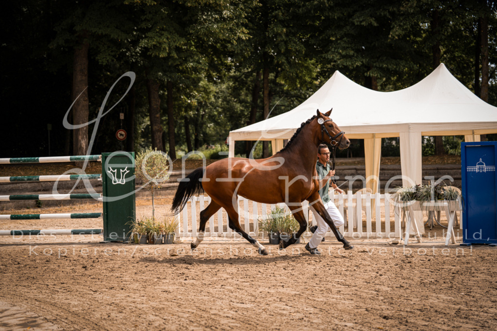 2. Fr00078 | Leoni Ertmer Photography - Realisiert mit Pictrs.com