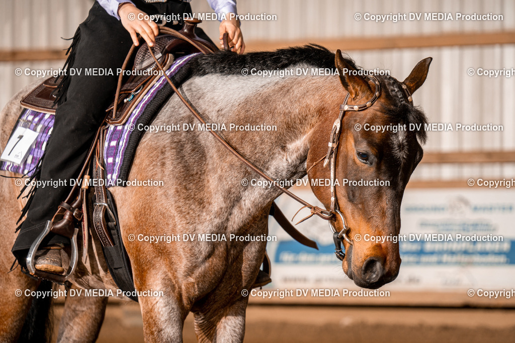 BA400205 | dv-media-shop - Realisiert mit Pictrs.com