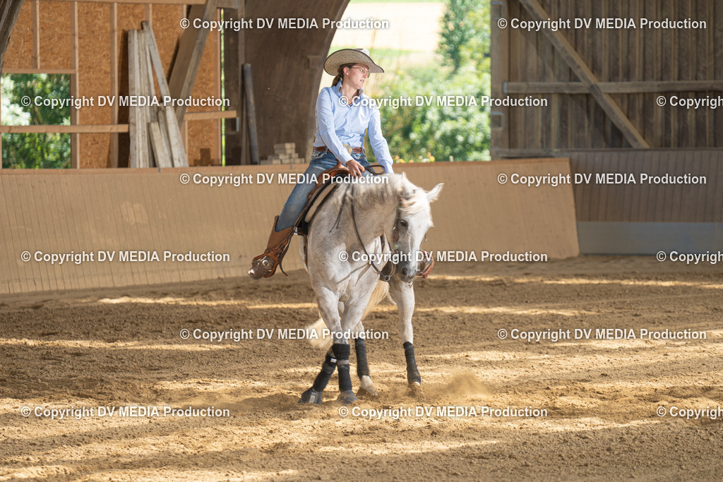 DSC00182 | dv-media-shop - Realisiert mit Pictrs.com