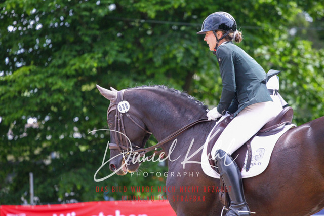 DKP41266 | Turnierfotos kaufen im Webshop von Daniel Kuhl Photography – entdecke professionelle Reitsportfotos aus Turnieren & Events. Hochwertige Turnierbilder online bestellen & sichern. Jetzt Fotos von Reitsportturnieren kaufen!