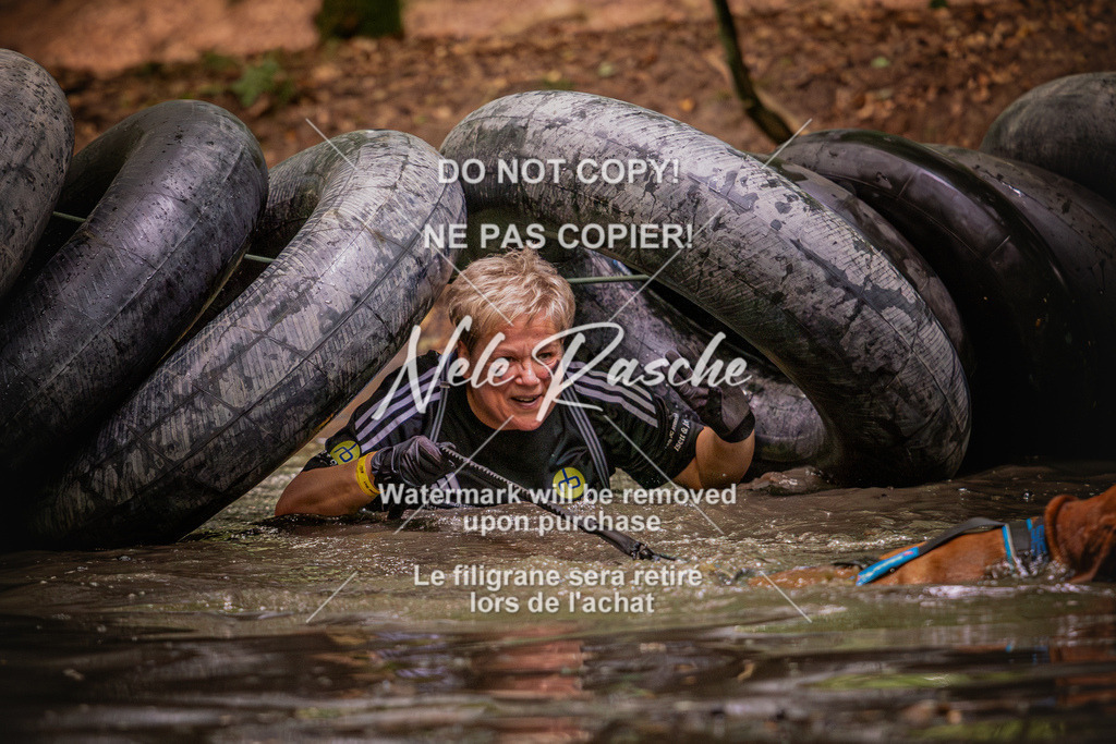 nelerasche_SaWingst1030-1130_18 | nelerasche