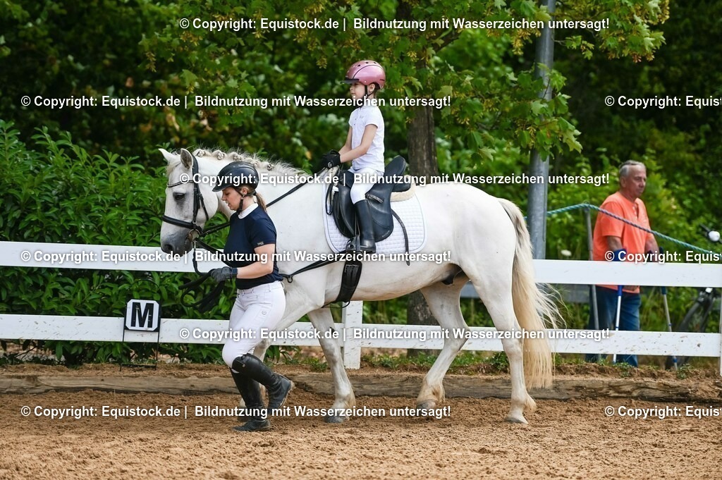 20230716_11_Führzügel-WB_0155 | equistock