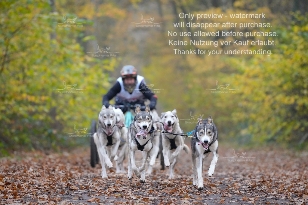 Rigs4bis8So-71 | stephaniefillaphotographie - Realisiert mit Pictrs.com