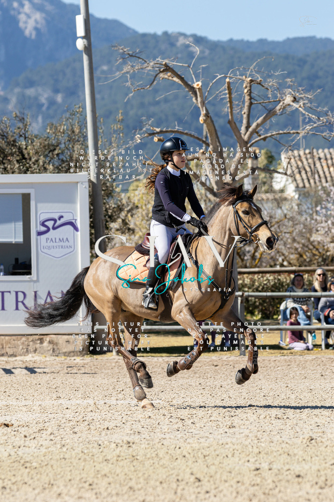 IMG_0265 | s-jay-photography - Realisiert mit Pictrs.com