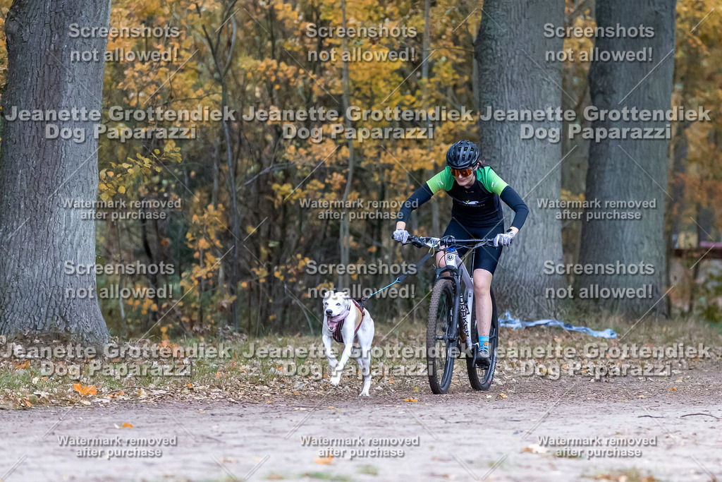 Dog Paparazzi - SD CaniX Championship 2025-76 | Dog Paparazzi Jeanette Grottendiek Fotografie & Videografie - Realisiert mit Pictrs.com