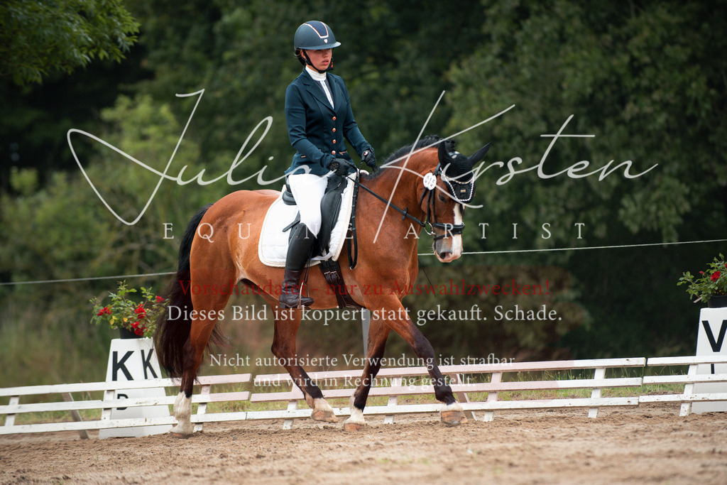 DSC_9818 | Pferde- und Turnierfotografie in Westsachsen. Pferdeportraits, Auftragszeichnungen und intuitive Kunst.