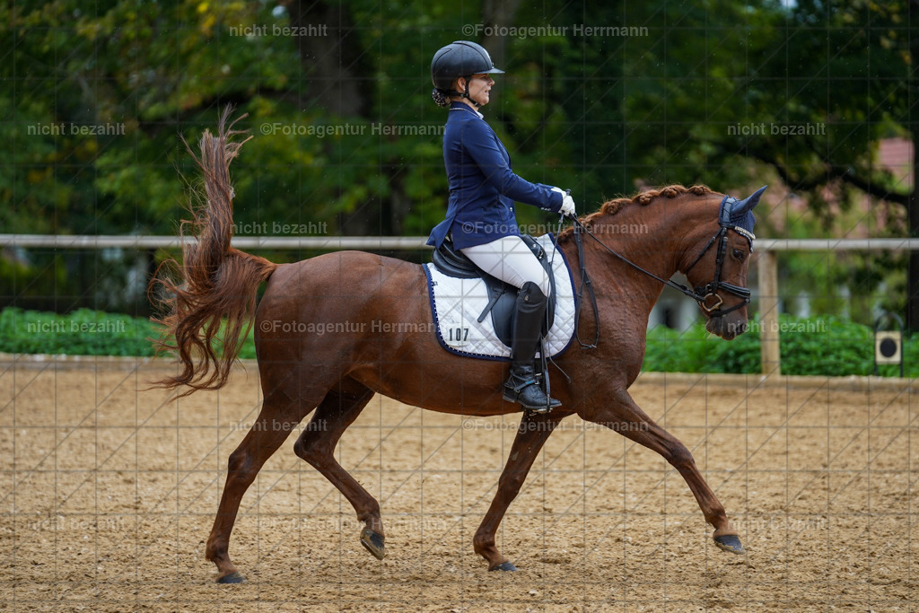 20221008-FAH01831 | Diessen am Ammersee, 2022, Dressur- und Springturnier, Reitsportbilder, Turnierfotografen Bayern, Pferdefotografen, Fotoagentur Herrmann, Turnierbilder
