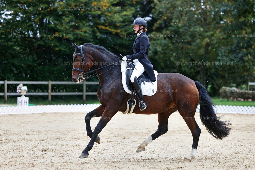 8_1-099-Klasse S_  -StoibPH-3870 | working equitationturnier fotograf videograf stoibphotography marixx film working equitation deutschland reitsport turnierfotografie eventfotografie equestrian events