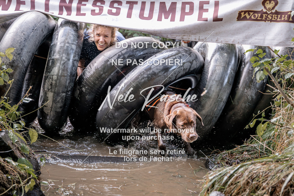 nelerasche_Hunsrück2026_Sa1400-1500_339 | nelerasche