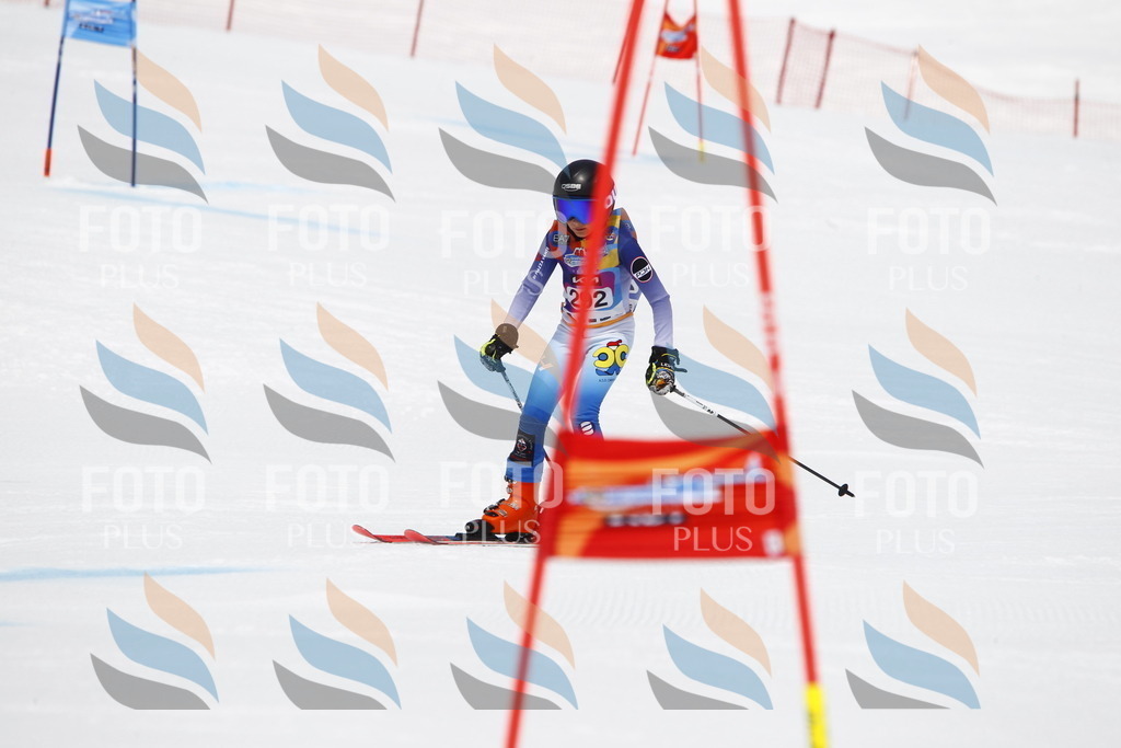 _U3G7286 | holidayphoto