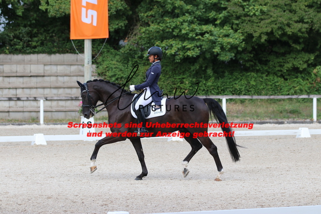 IMG_6407 | lmwpictures - Realisiert mit Pictrs.com