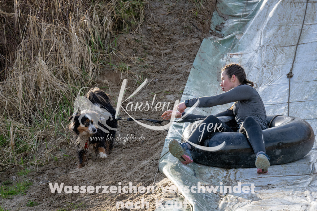 1627_ZZ91603 | kk-dogfotos