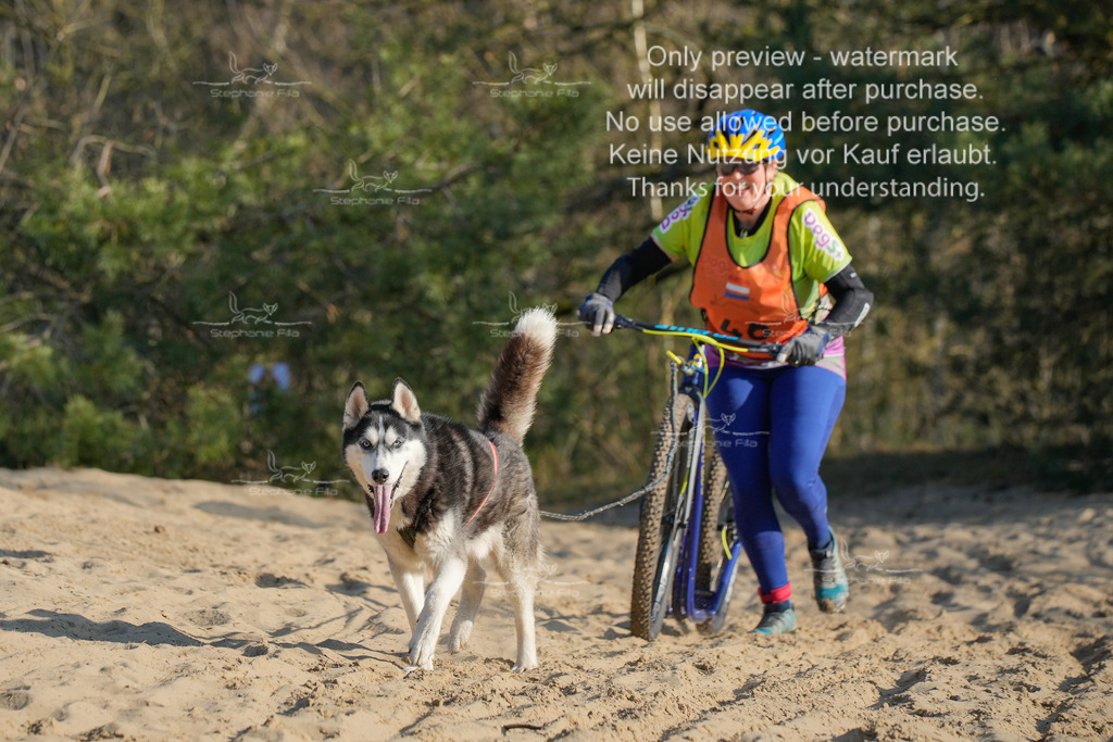 So_Scooter-334 | stephaniefillaphotographie - Realisiert mit Pictrs.com