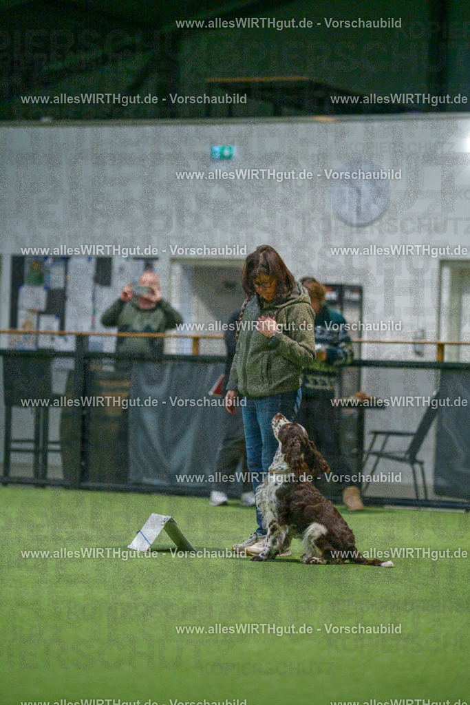 7R505189 | Professionelle Tierfotografie in Mönchengladbach von Daniel Wirth (allesWIRTHgut). Liebevolle & natürliche Bilder von Hunden & Katzen für unvergessliche Erinnerungen.