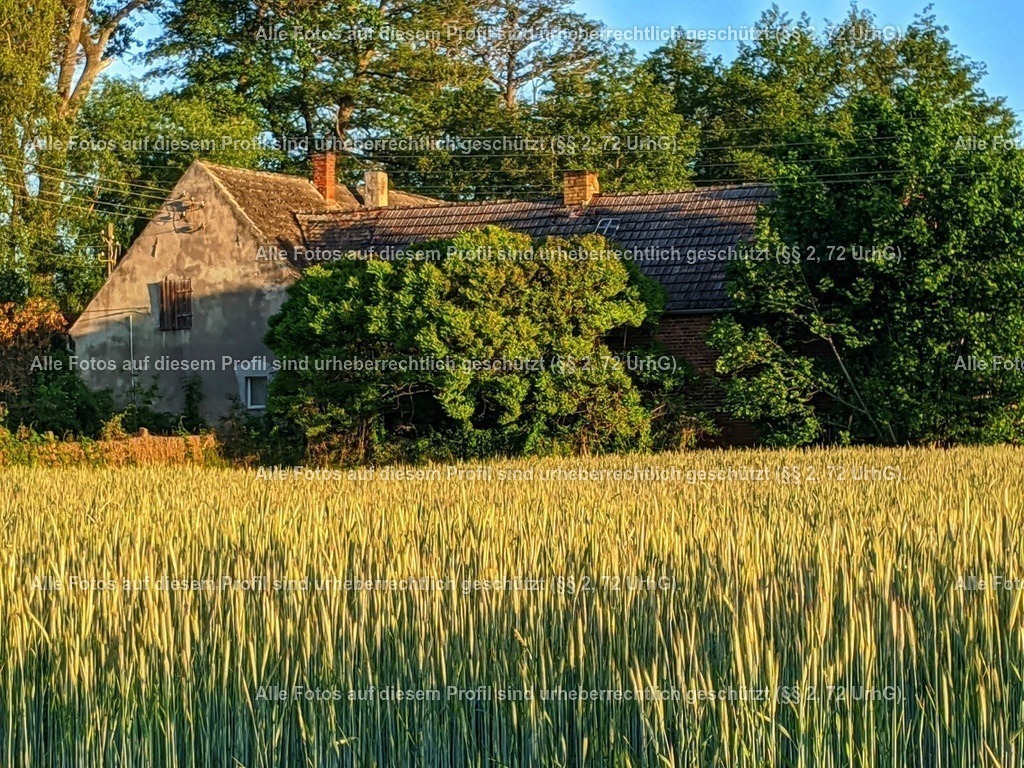 IMG_20200601_055531-01 | krollfotografie - Realisiert mit Pictrs.com