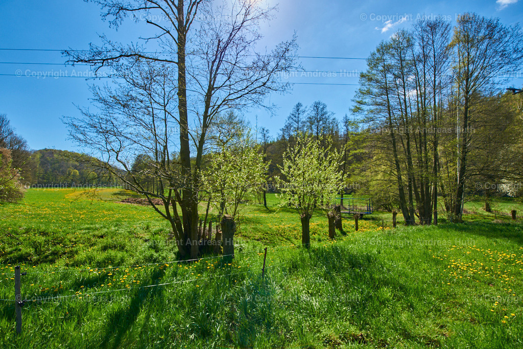 Im Triebischtal bei Neutanneberg 05 | Bedeutsame Landschaften Deutschlands - Realisiert mit Pictrs.com