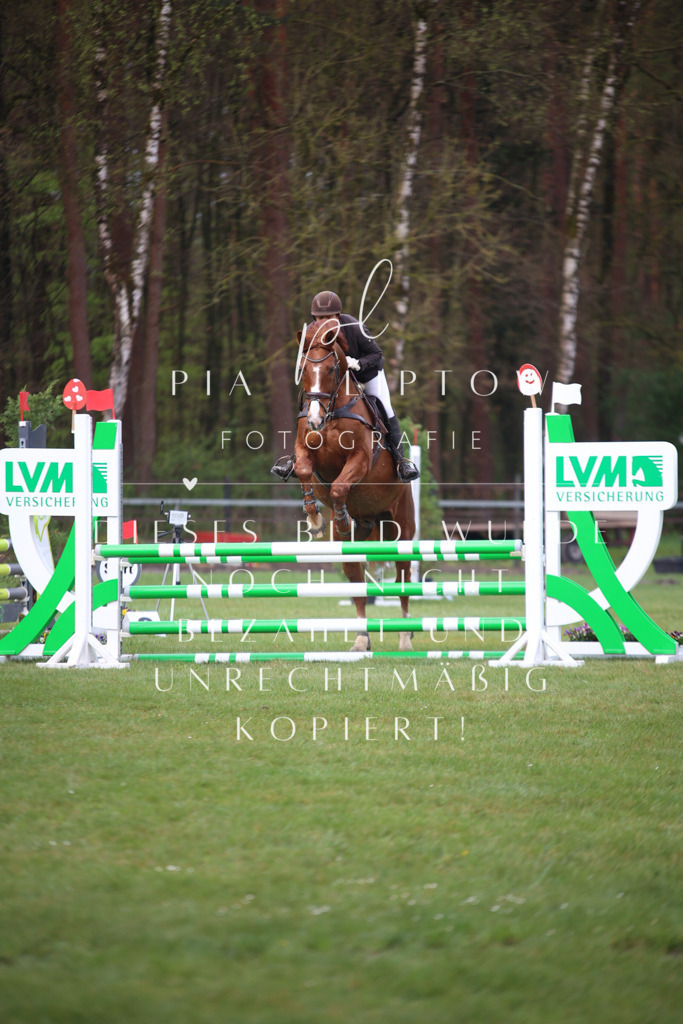 IMGT2279 | pl-fotografie