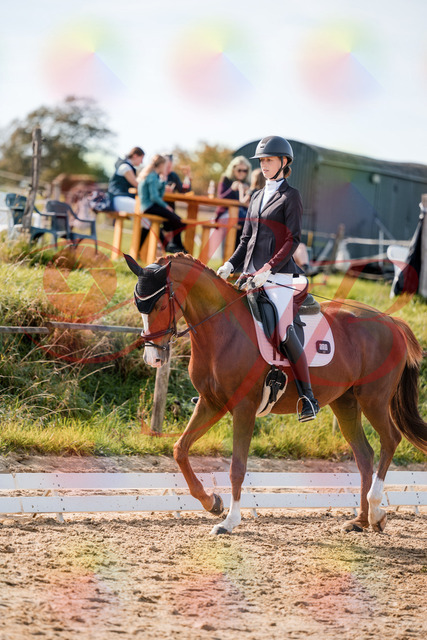 2026_10_03_Siefer-Hof_132819_Z63_88701126 | Professionelle Reitsport-, Turnier- und Eventfotografie von Robert Broda. Galerien mit ausgewählten und bearbeiteten Bildern direkt online ansehen und bestellen.