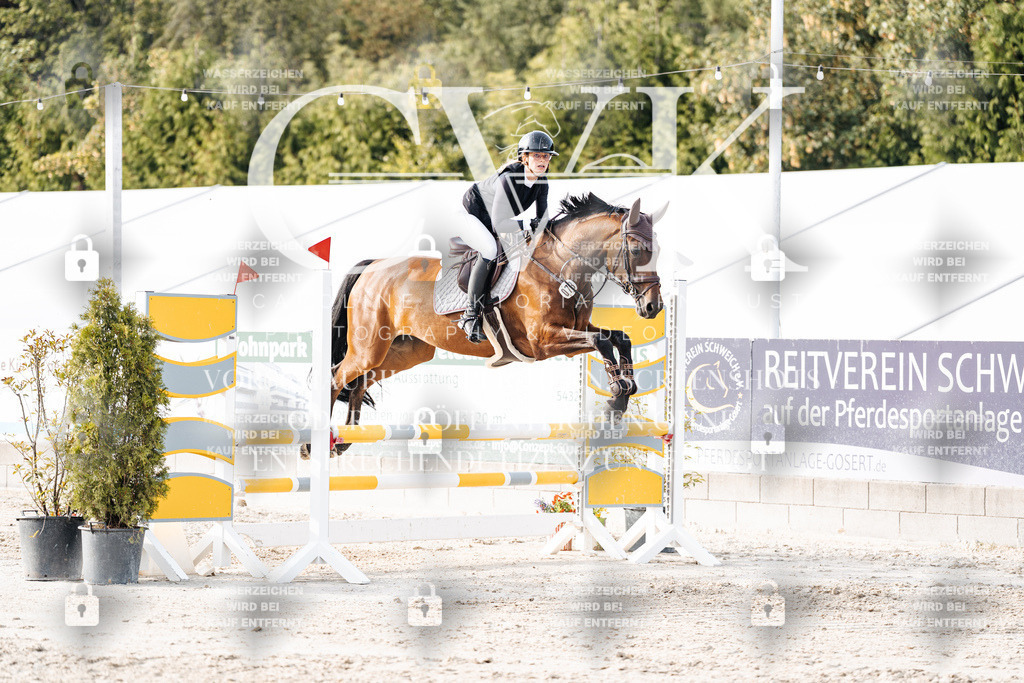 CK906753 | Turnierfotografie Pferdefotografie Trier Rheinland-Pfalz Pferdesport Reitsport Tierfotografie Sportfotografie Pferdevideo Pferdevideografie Equestrianvideography equestrianphotography  - Realisiert mit Pictrs.com