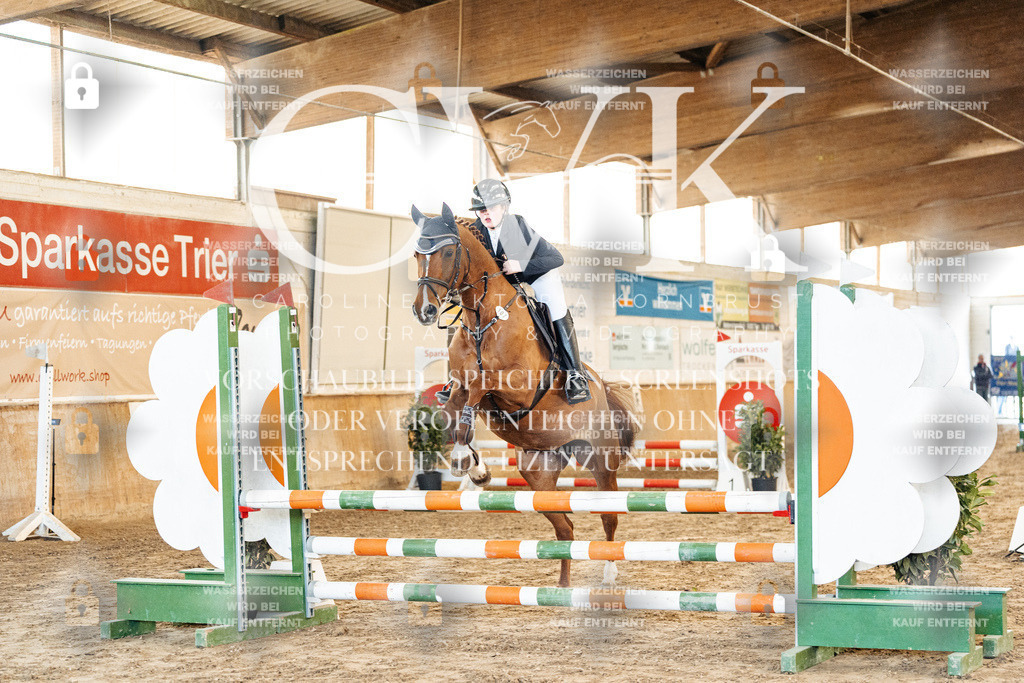 CK903744 | Turnierfotografie Pferdefotografie Trier Rheinland-Pfalz Pferdesport Reitsport Tierfotografie Sportfotografie Pferdevideo Pferdevideografie Equestrianvideography equestrianphotography  - Realisiert mit Pictrs.com