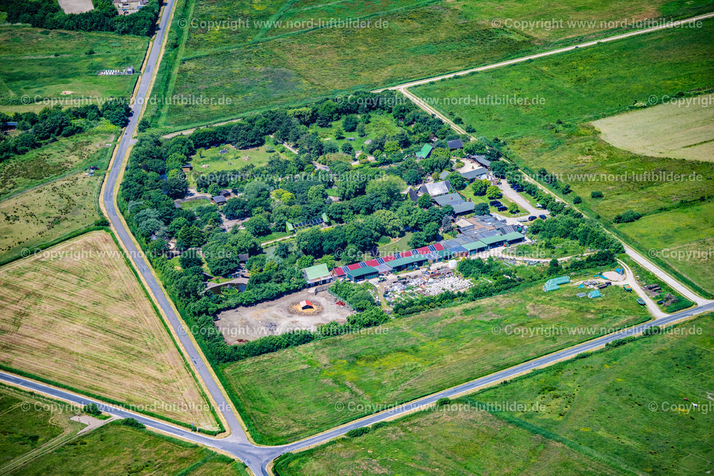 Sylt_Tinnum_Tierpark_Tinnum_ELS_0194210625 | SYLT 13.06.2025 Zoogelände am Tierpark Tinnum im Ortsteil Tinnum auf Sylt auf der Insel Sylt im Bundesland Schleswig-Holstein, Deutschland. // Zoo grounds Tinnum in the district Tinnum in Sylt on Island Sylt in the state Schleswig-Holstein, Germany. Foto: Martin Elsen